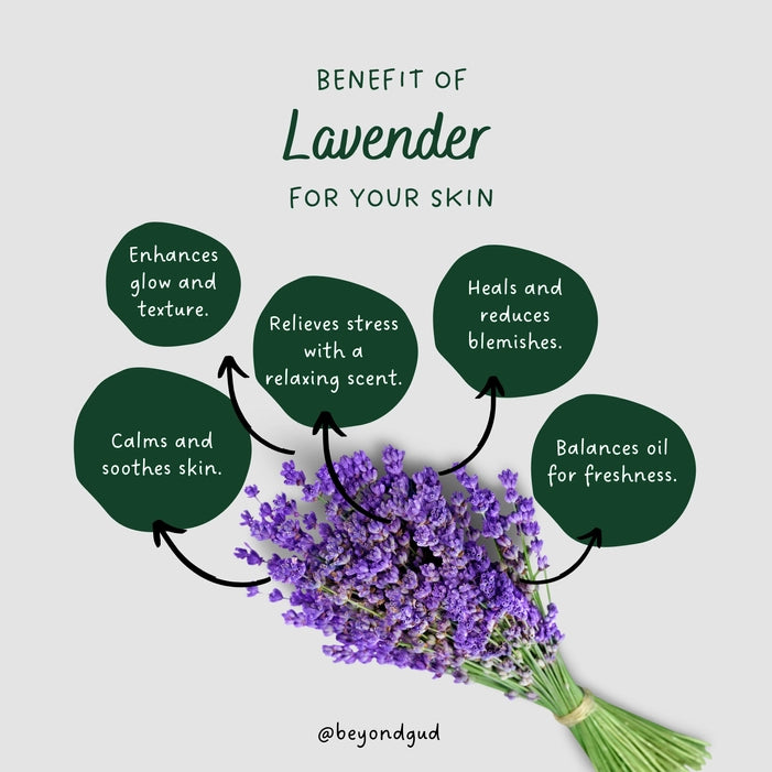 Lavender Soap ( 60gm )