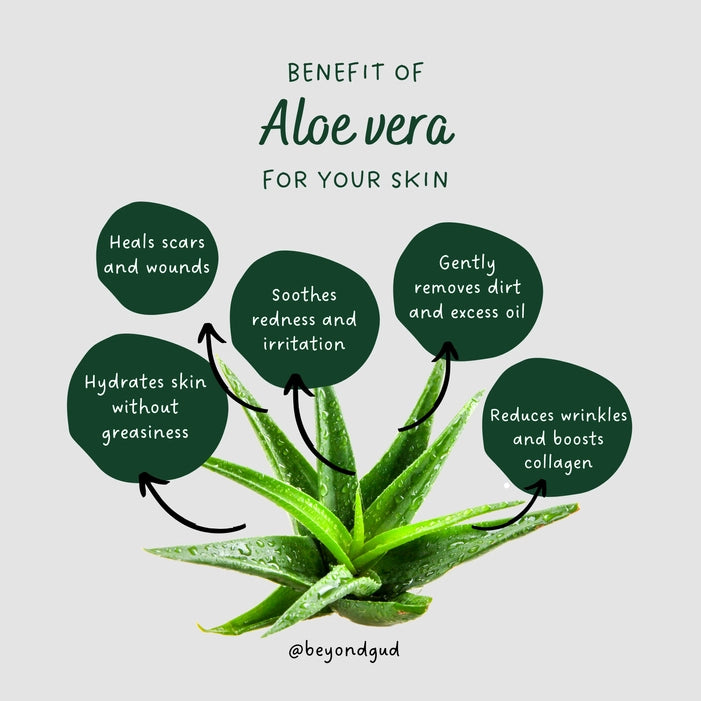 Aloe Vera Soap ( 60gm )